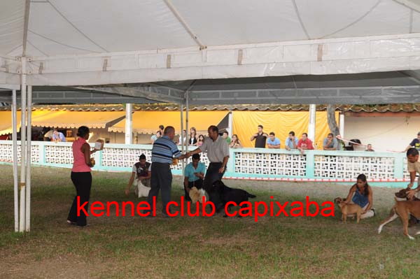 Clique sobre a foto para fechar